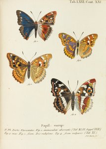 Die Schmetterlinge de Eugen Johann Christoph Esper