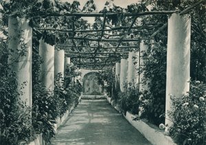 Pérgola en un viñedo, Capri, Italia, 1927 de Eugen Poppel