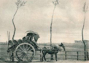 Portador de vino en la Campagna, Roma, Italia, 1927
