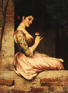 La rosa rosa