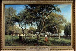 Recogiendo manzanas en Normandía en 1865 de Eugene Antoine Samuel Lavieille
