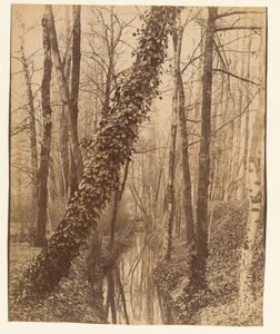  de Eugène Atget