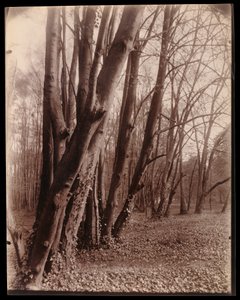  de Eugène Atget