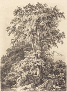 Bosque de hayas de Eugene Bléry