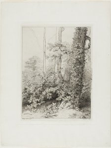 Zarza y Hiedra de Eugene Bléry