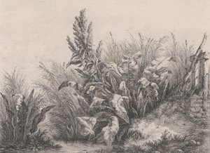 Gran planta de muelle de agua, 1840 de Eugene Bléry