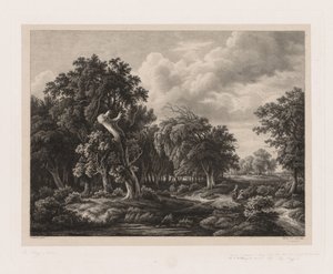 Groups of Various Plants Drawn After Nature:  No. 7 de Eugene Bléry