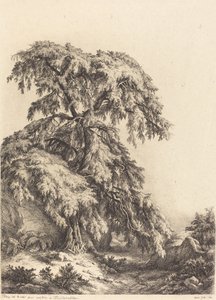 Árbol de Enebro de Eugene Bléry