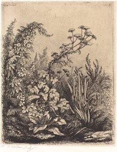 La pequeña berle con liserones, publicada en 1849 de Eugene Bléry