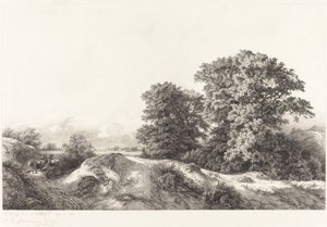 Robles en los Vaux de Cernay de Eugene Bléry