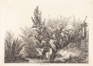Paciencia de agua, estudio de Eugene Bléry