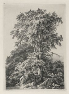 Estudios dibujados y grabados de la naturaleza: La playa, Fontainbleau, 1840 de Eugene Bléry