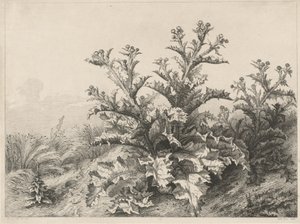 El Gran Cardo de Eugene Bléry