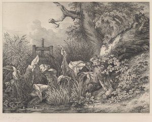 Muelles de agua y zarzas en una esclusa, 1843