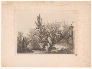Waterzuring y riet aan de oever
Paciencia con el agua en la puerta pequeña
Estudios de dibujo y grabado del natural (...) (título de la serie) de Eugene Bléry