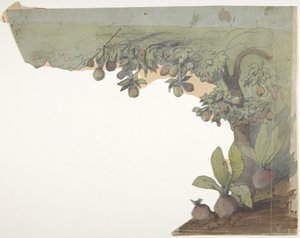 Diseño para un escenario en la Ópera, París de Eugene Ciceri