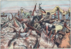 Pesca de atún en Túnez - El atún es capturado en la última red conocida como “corpo”, es atrapado con ganchos y subido al barco de pesca. Ilustración de Damblans. En “Le Pèlerin” del 30 de agosto