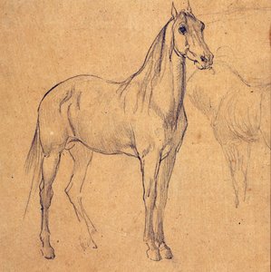 Estudio de un caballo de Eugène Fromentin