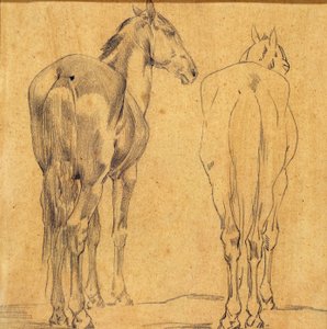 Studie von zwei Pferden de Eugène Fromentin