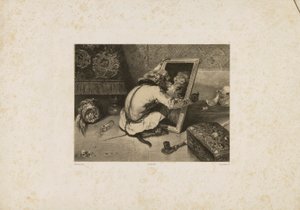 El mono en el espejo