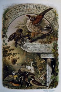 Página del título de Historia Natural de las Aves que anidan en Lombardía, por Eugenio Bettoni (1845-1898), grabado por Oscar Dressler, Italia de Eugenio Bettoni, Oscar Dressler