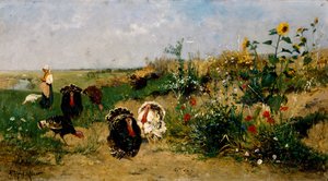 Pavos