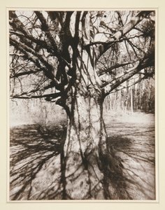 Haya de Eugène Atget