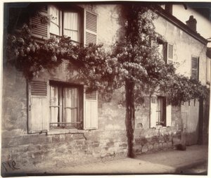 Glicina (Wisteria), Ch?tillon de Eugène Atget