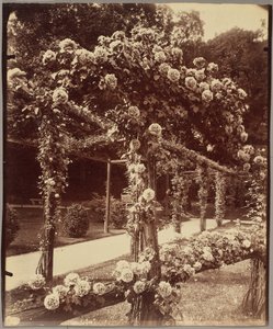 [Jardin de Bagatelle]