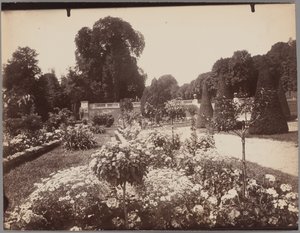 Saint-Cloud de Eugène Atget