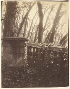 Parque de Saint-Cloud, París de Eugène Atget