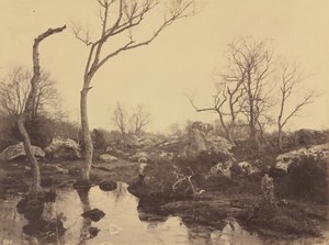 Belle Croix, c. 1858 (foto) de Eugène Cuvelier