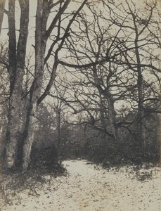 [Bosque de Fontainebleau], ca. 1860 de Eugène Cuvelier