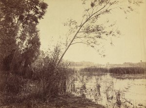 Marais de Fampoux, principios de 1860 de Eugène Cuvelier