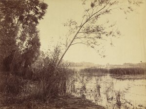 Marais de Fampoux, principios de 1860 (foto) de Eugène Cuvelier