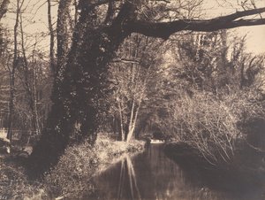 Parque de Courances de Eugène Cuvelier