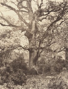 Cerca de Bodmer de Eugène Cuvelier