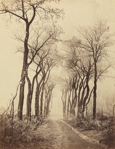 Camino y árboles con escarcha de Eugène Cuvelier