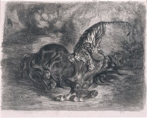 Caballo Salvaje Derribado por un Tigre de Ferdinand Victor Eugene Delacroix