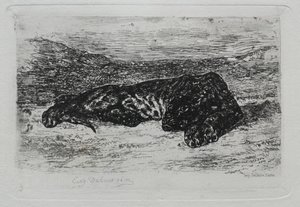Tigre Agazapado en el Desierto