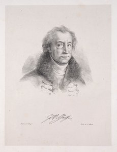 Ilustraciones para Fausto: Frontispicio - Retrato de Johann Wolfgang von Goethe de Eugène Delacroix