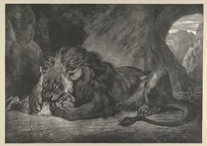 León de las montañas del Atlas, 1829-30 de Eugène Delacroix