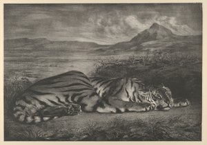Tigre Real, 1829