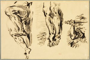 Estudio de brazos y piernas de Cristo crucificado de Eugène Delacroix