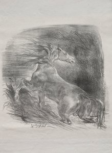 El Caballo Salvaje, o Caballo Asustado Saliendo del Agua de Eugène Delacroix