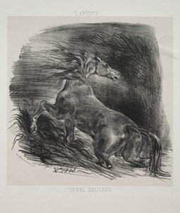 The Wild Horse, or Frightened Horse Leaving the Water de Eugène Delacroix