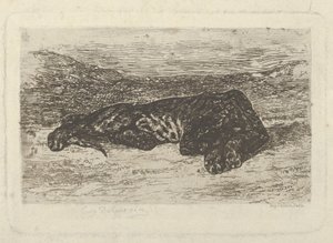Tigre Acostado en el Desierto