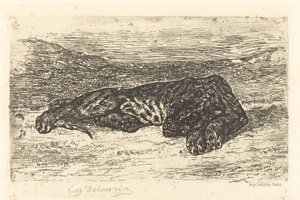 Tigre durmiendo en el desierto (Tigre couché dans le désert) de Eugène Delacroix