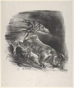 Caballo salvaje, 1828 de Eugène Delacroix