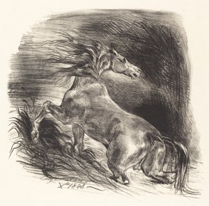 Caballo salvaje saliendo del agua, 1828 de Eugène Delacroix